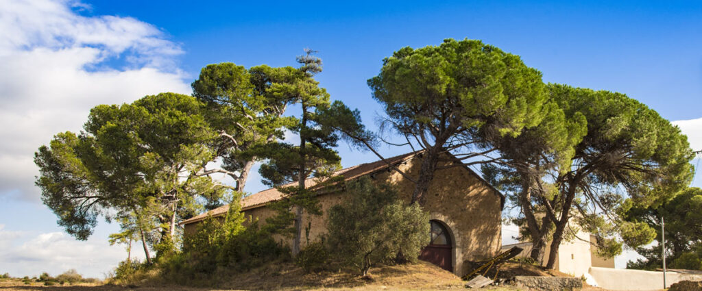 domaine viticole terroir pezenas vin bio