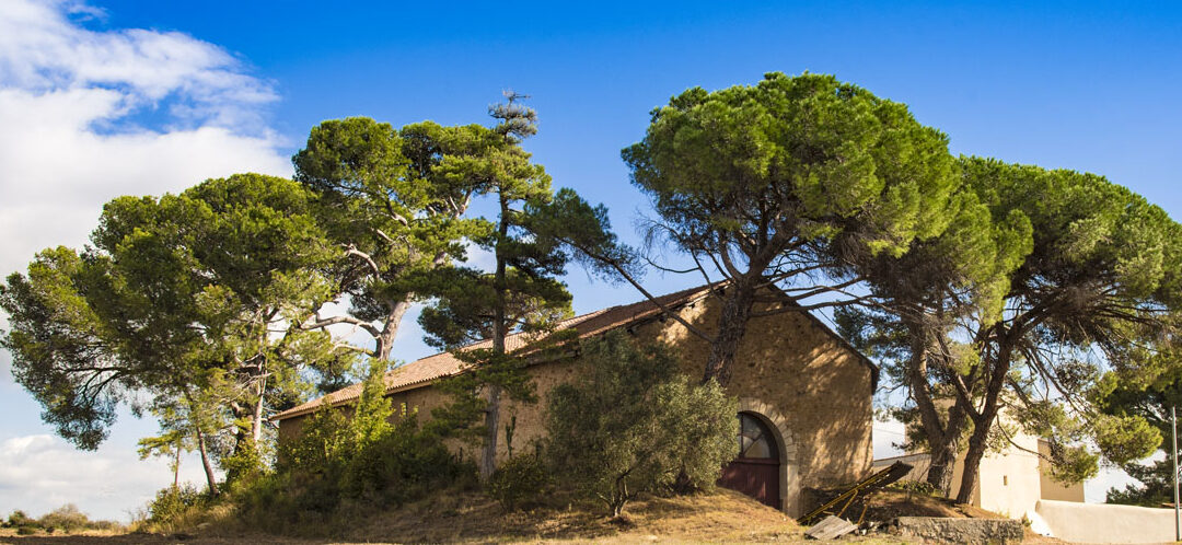 Journée Portes Ouvertes
