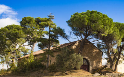 Journée Portes Ouvertes